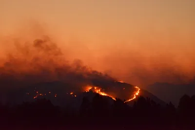 DSC_5617 (Large).JPG